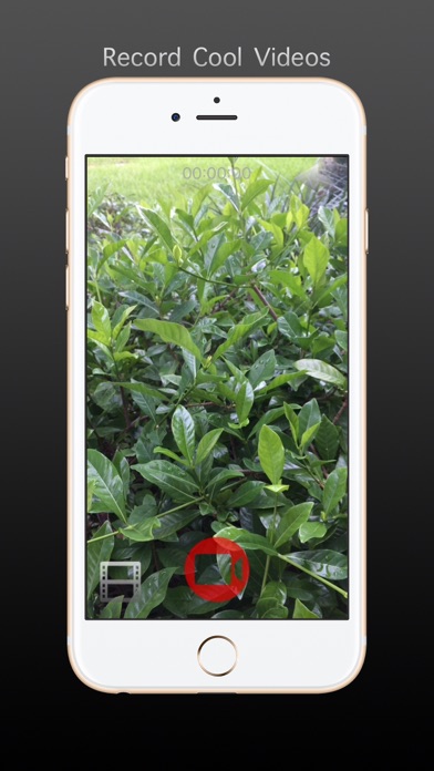SimpleCam -Widescreen Camera screenshot 1