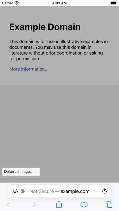 SingleFile for Safari screenshot 2