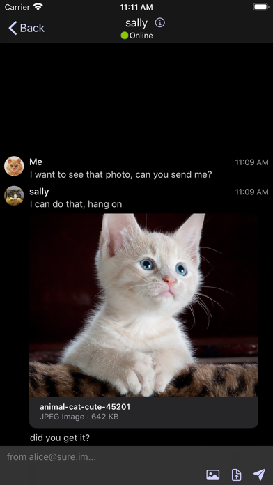 Siskin IM screenshot 3