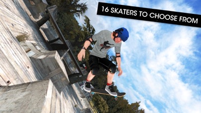 Skateboard Party: 3 screenshot 5