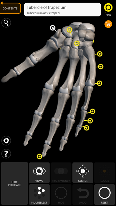Skeleton 3D Anatomy screenshot 2