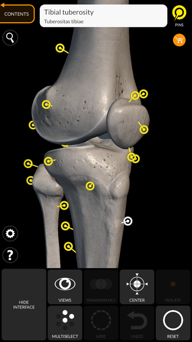 Skeleton 3D Anatomy screenshot 1