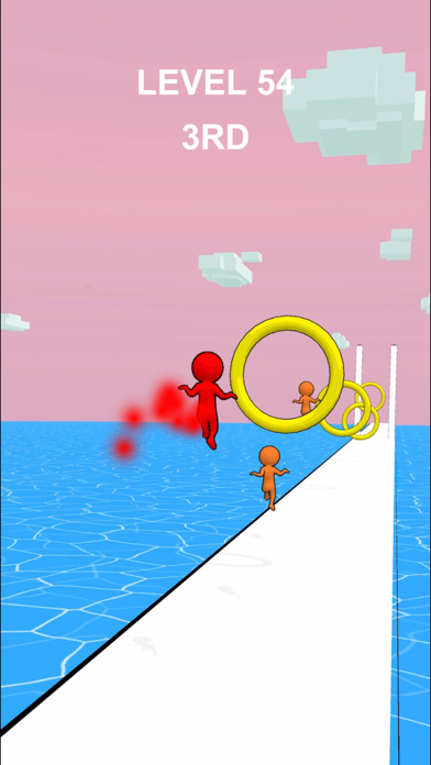 Sky Ring Race screenshot 1