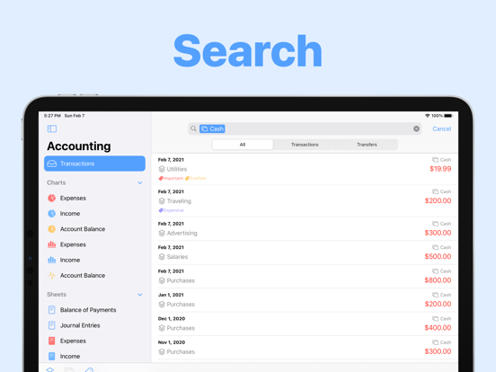 Small Business Accounting screenshot 6