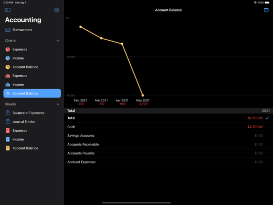 Small Business Accounting screenshot 3