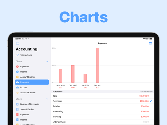 Small Business Accounting screenshot 9