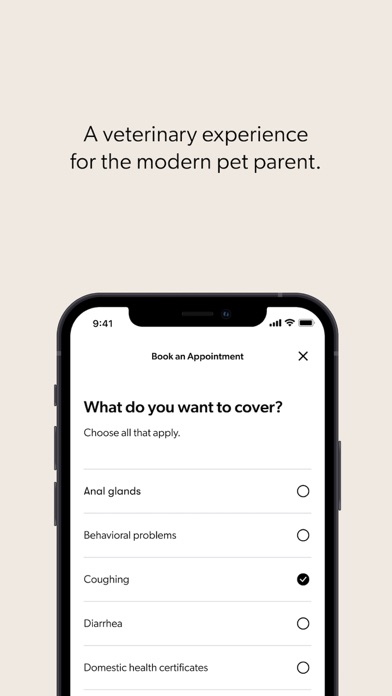 Small Door screenshot 1