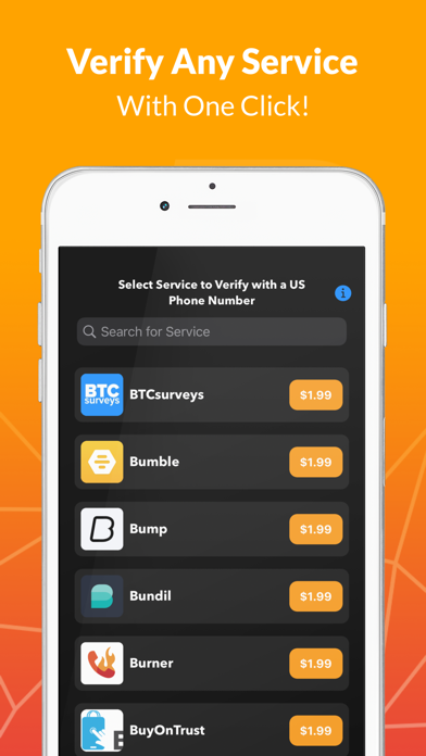 SMS Verification - PhoneVerify screenshot 2