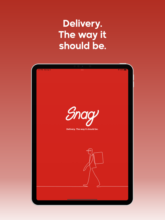 Snag Delivery screenshot 5