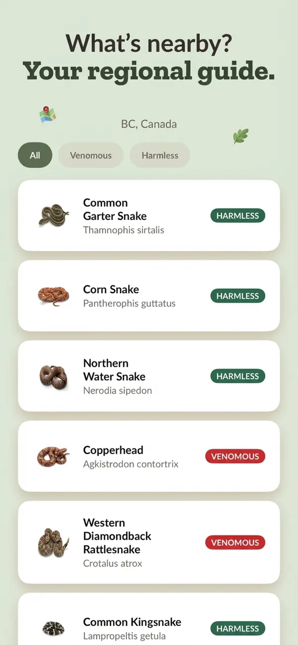 Snake ID: Identify Any Species screenshot 3