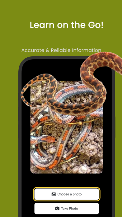 Snake ID - reptile identifier screenshot 3