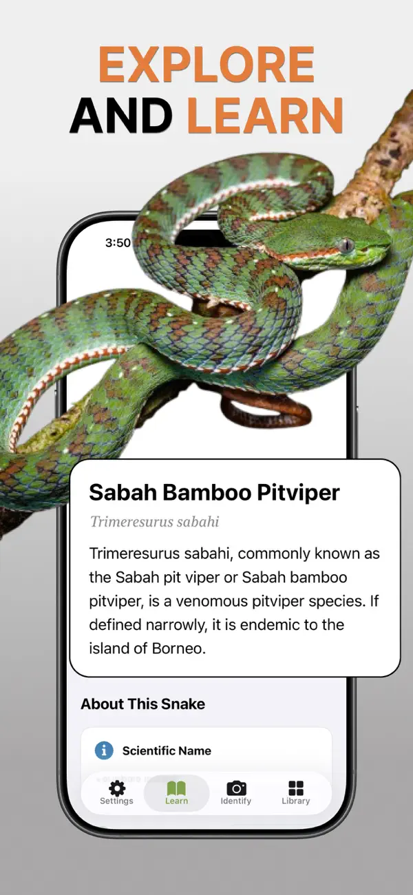 Snake Identifier: Scan & ID screenshot 1