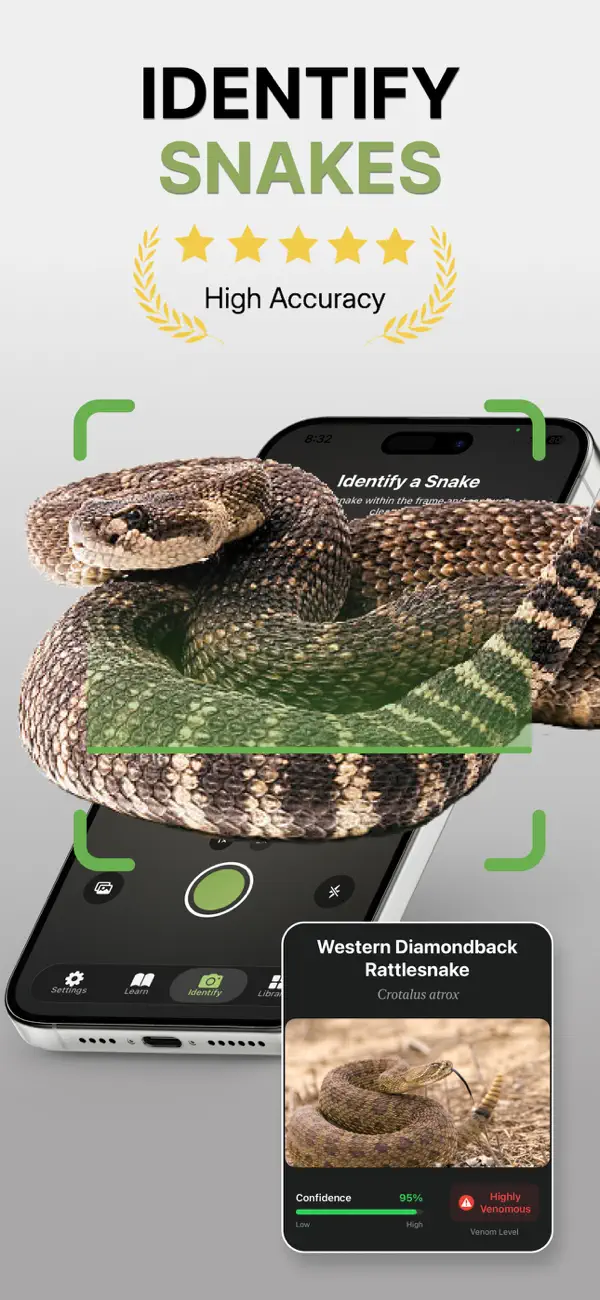 Snake Identifier: Scan & ID screenshot 5