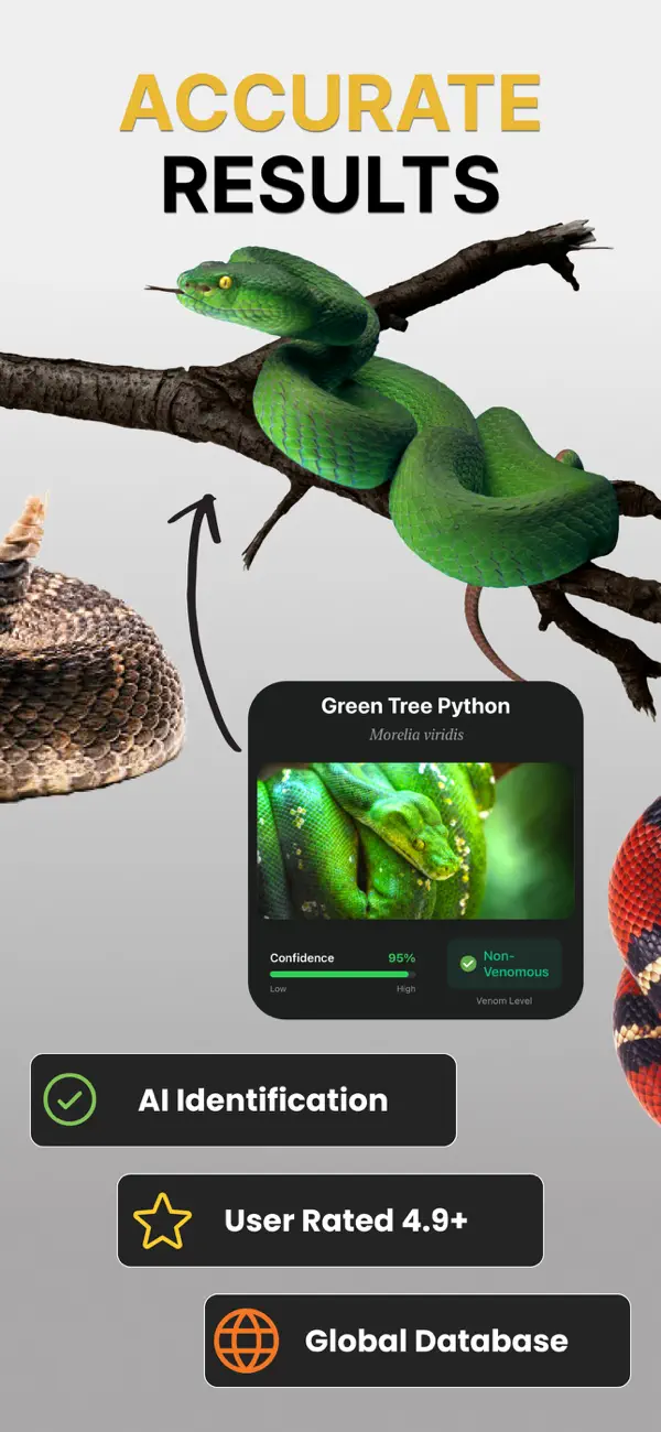 Snake Identifier: Scan & ID screenshot 4