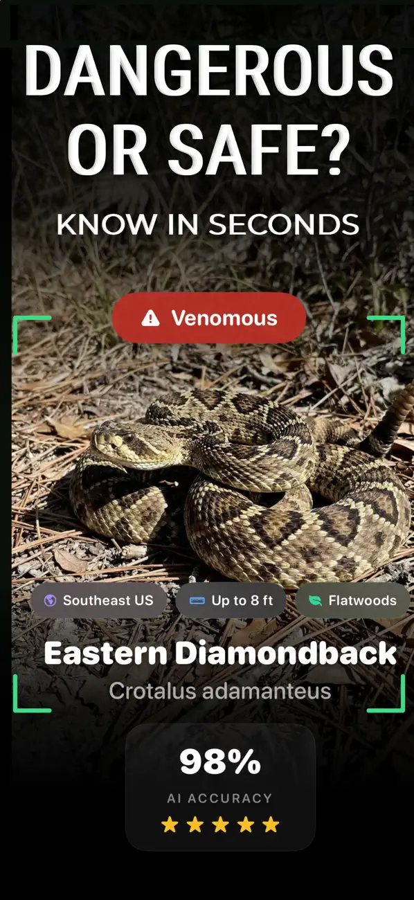 Snake Identifier: SlitherID screenshot 6