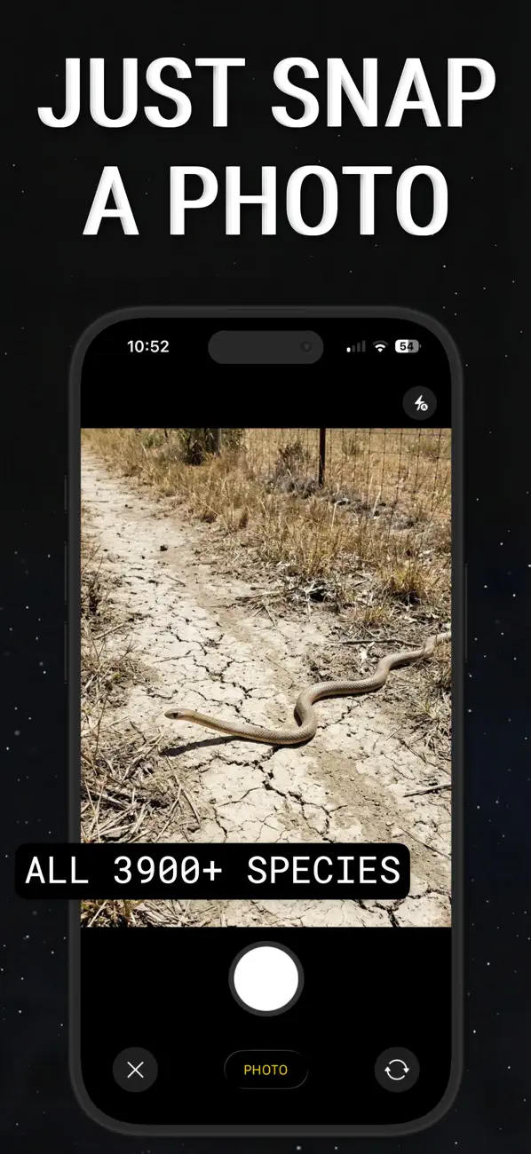 Snake Identifier: SlitherID screenshot 5