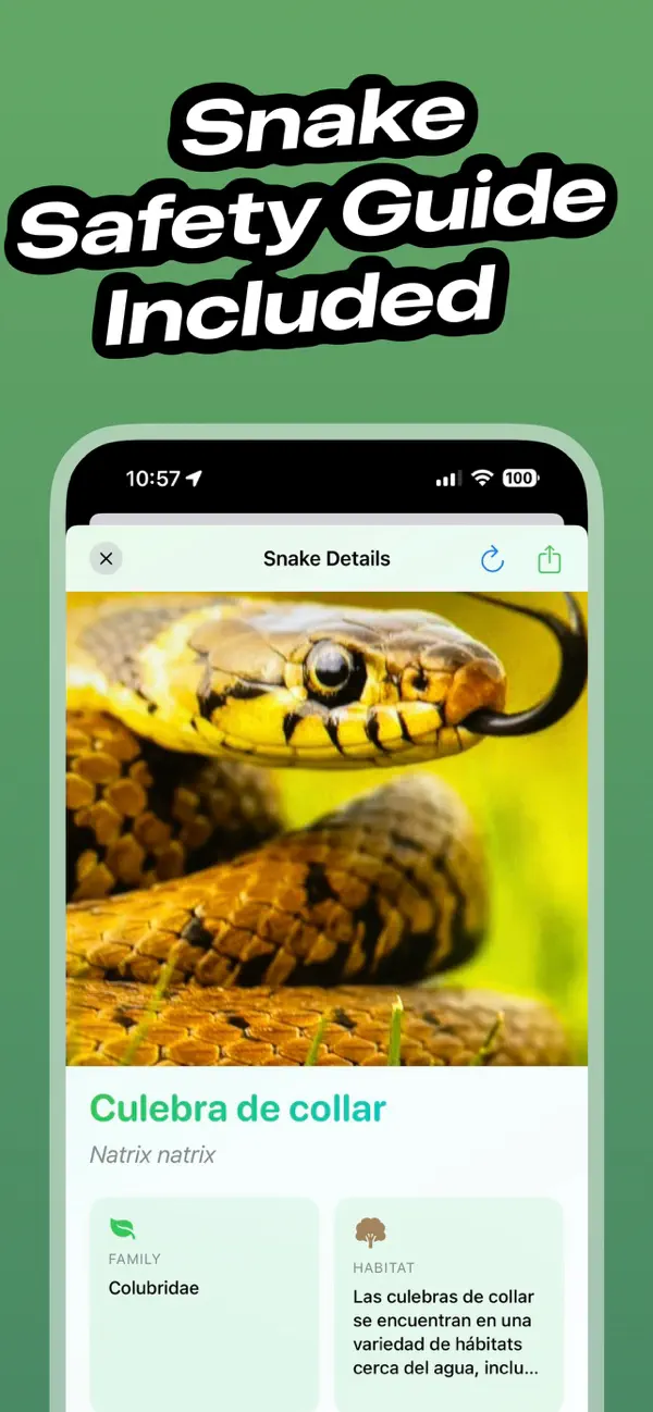 Snake Identifier: SnakeSnap screenshot 5