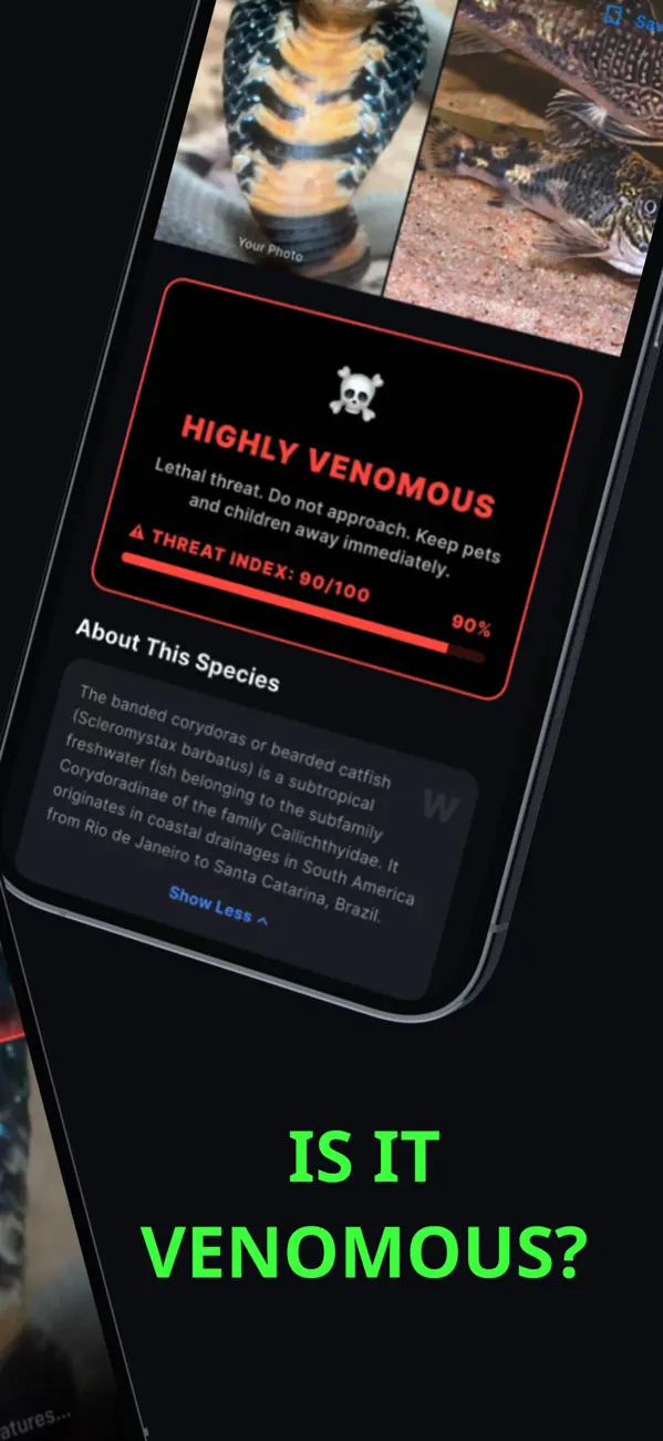 Snake Identifier: Venomous AI screenshot 3