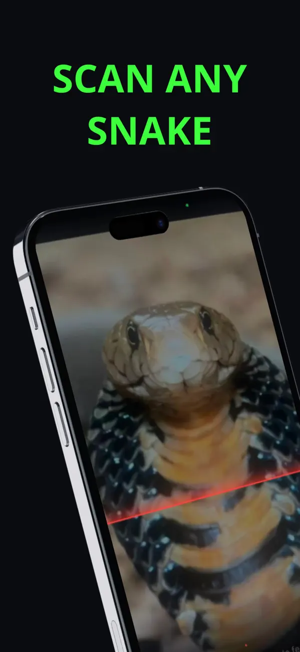 Snake Identifier: Venomous AI screenshot 4