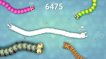 Snake.io+ screenshot 2