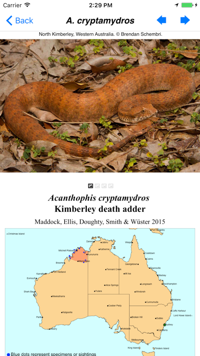 Snakes of Australia screenshot 4