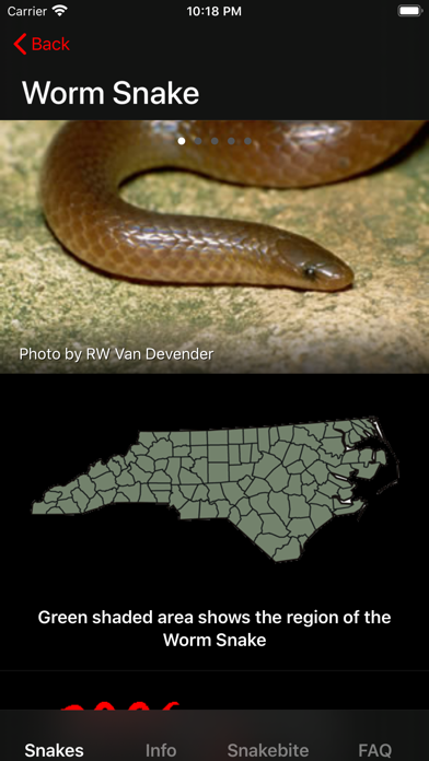 Snakes of North Carolina screenshot 3