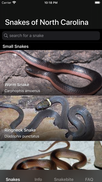 Snakes of North Carolina screenshot 4