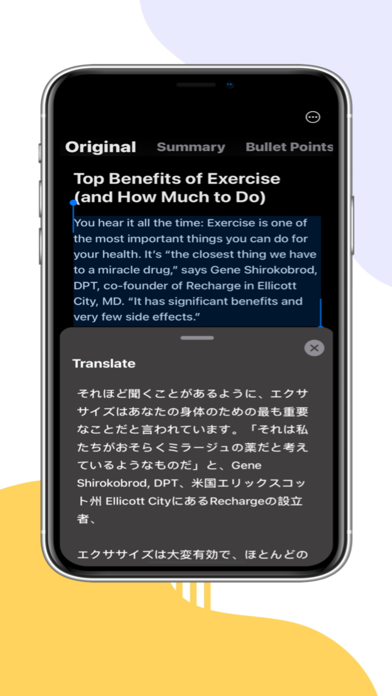 Snippet AI: Reader Copilot screenshot 2
