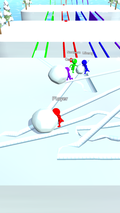 Snow Race!! screenshot 5