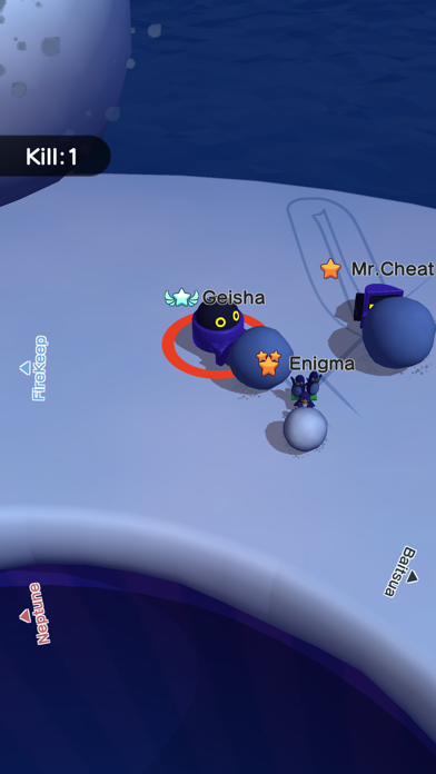 Snowball.io™ screenshot 4
