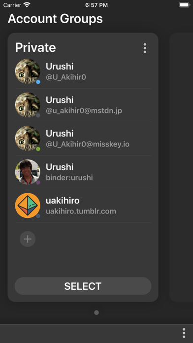 SocialHub - SocialMedia Client screenshot 2