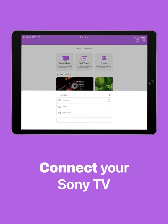 Sony TV Screen Mirroring Cast screenshot 2