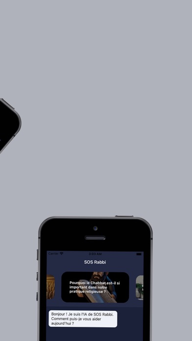 SOS Rabbi screenshot 1