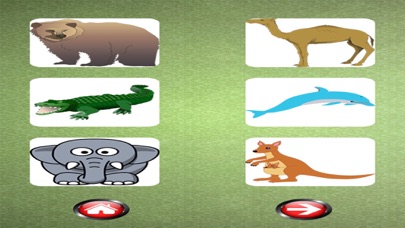Sound Flash Cards of Animals screenshot 1