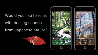 Sound Gift From Nature 2 screenshot 3