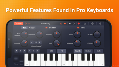 Soundfont Pro: Synth Studio screenshot 1