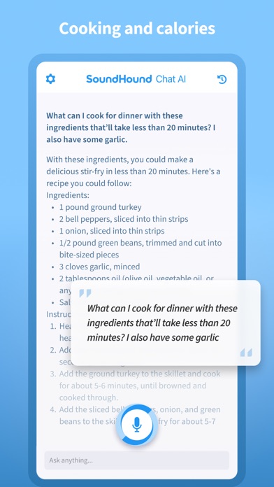 SoundHound Chat AI App screenshot 2