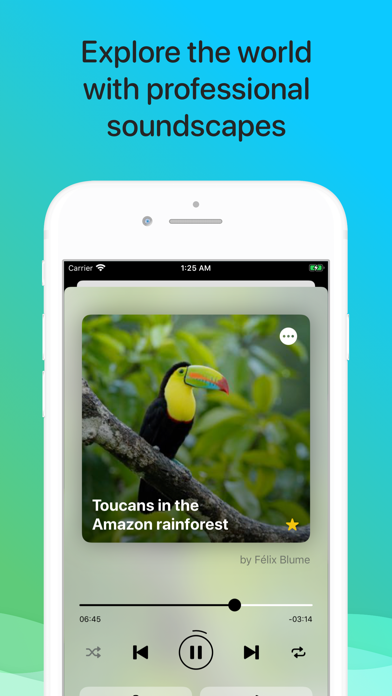 Soundscapes - Listen to nature screenshot 6