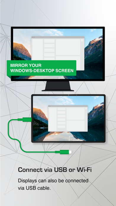spacedesk - USB Display for PC screenshot 2