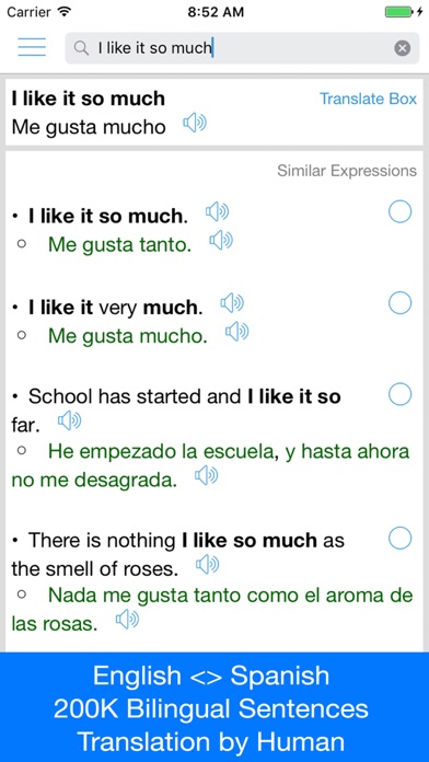 Spanish Translator Offline screenshot 3