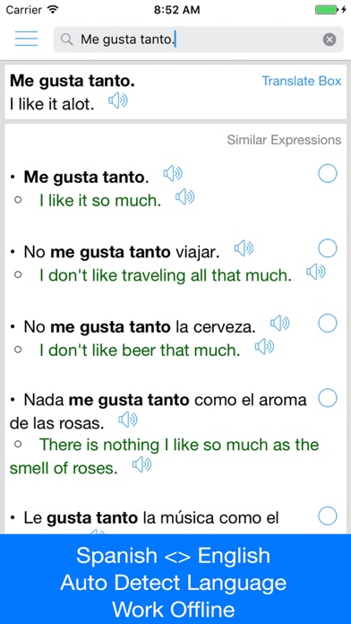 Spanish Translator Offline screenshot 2