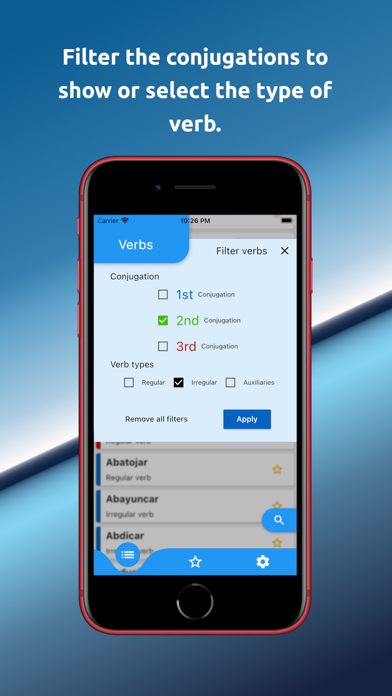 Spanish Verbs and Conjugations screenshot 3