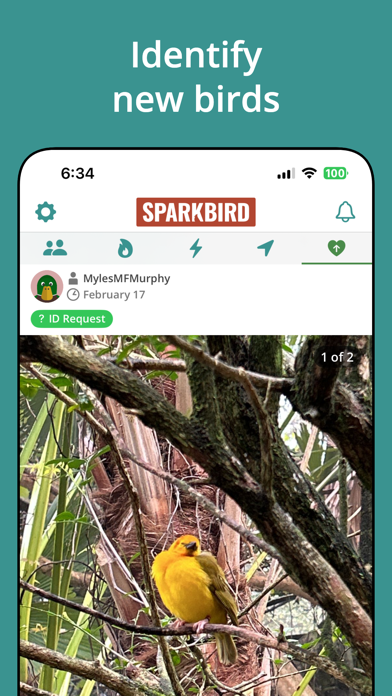 Sparkbird screenshot 3