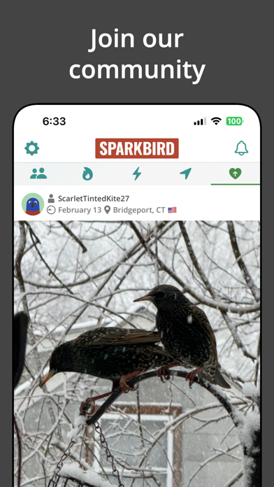 Sparkbird screenshot 1