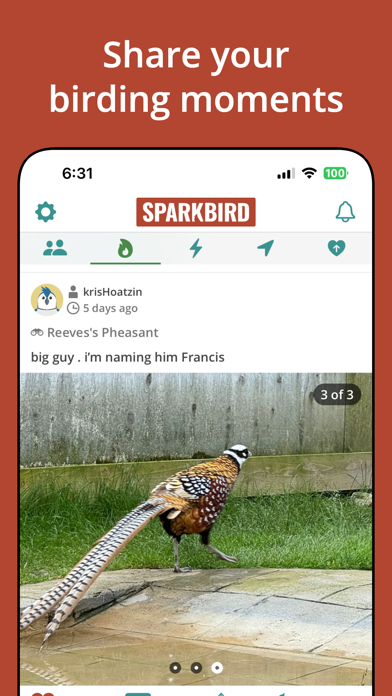 Sparkbird screenshot 4