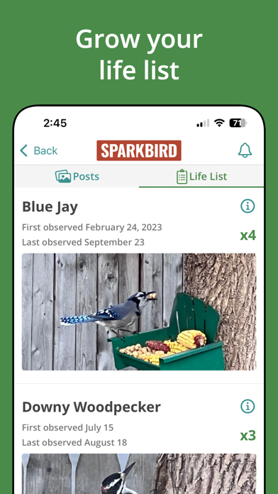 Sparkbird screenshot 2