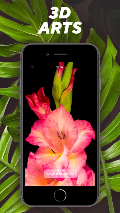 Spatial Wallpapers 3D screenshot 4
