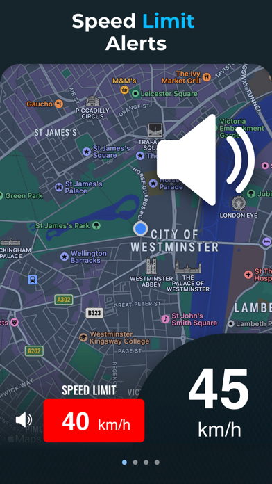 Speedometer: MPH Speed Tracker screenshot 3