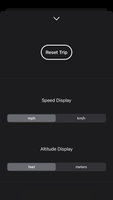 Speedy Pro - Speedometer screenshot 3