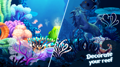 Splash — Fish Aquarium screenshot 3